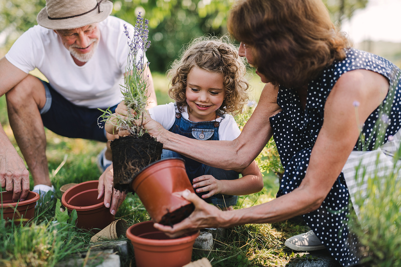 Financial Estate & Legacy Planning Services | Claro Advisors